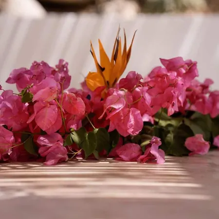 Mikri Sorriso - - Pool & Jacuzzi Βίλα *