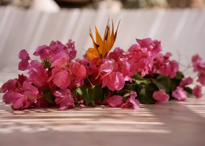 Mikri Sorriso - - Pool & Jacuzzi Villa *